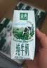 伊利【新鲜日期】金典纯牛奶 200ml*12 3.6g乳蛋白中秋礼品礼盒装  实拍图