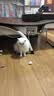 LEGENDSANDY蓝氏猫零食全价主食猫条成猫幼猫鲜肉猫湿粮罐头鳕鱼鹌鹑味16g*12 实拍图