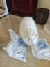 沃趣 猫砂钠基矿砂矿土吸水猫咪用品无尘猫砂9斤 实拍图