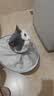 猫八万伊丽莎白圈绝育护理项圈猫咪狗狗美容脖圈防舔咬头套脖圈 灰L 实拍图