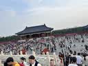 白小奢近视可戴墨镜 【亮黑偏光套镜】 开车男女款太阳镜防强光眼镜 实拍图