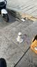 DR.LORIYA茶垢清洁剂茶渍清洗剂去茶垢泡腾片茶杯茶具杯子清洁剂 实拍图