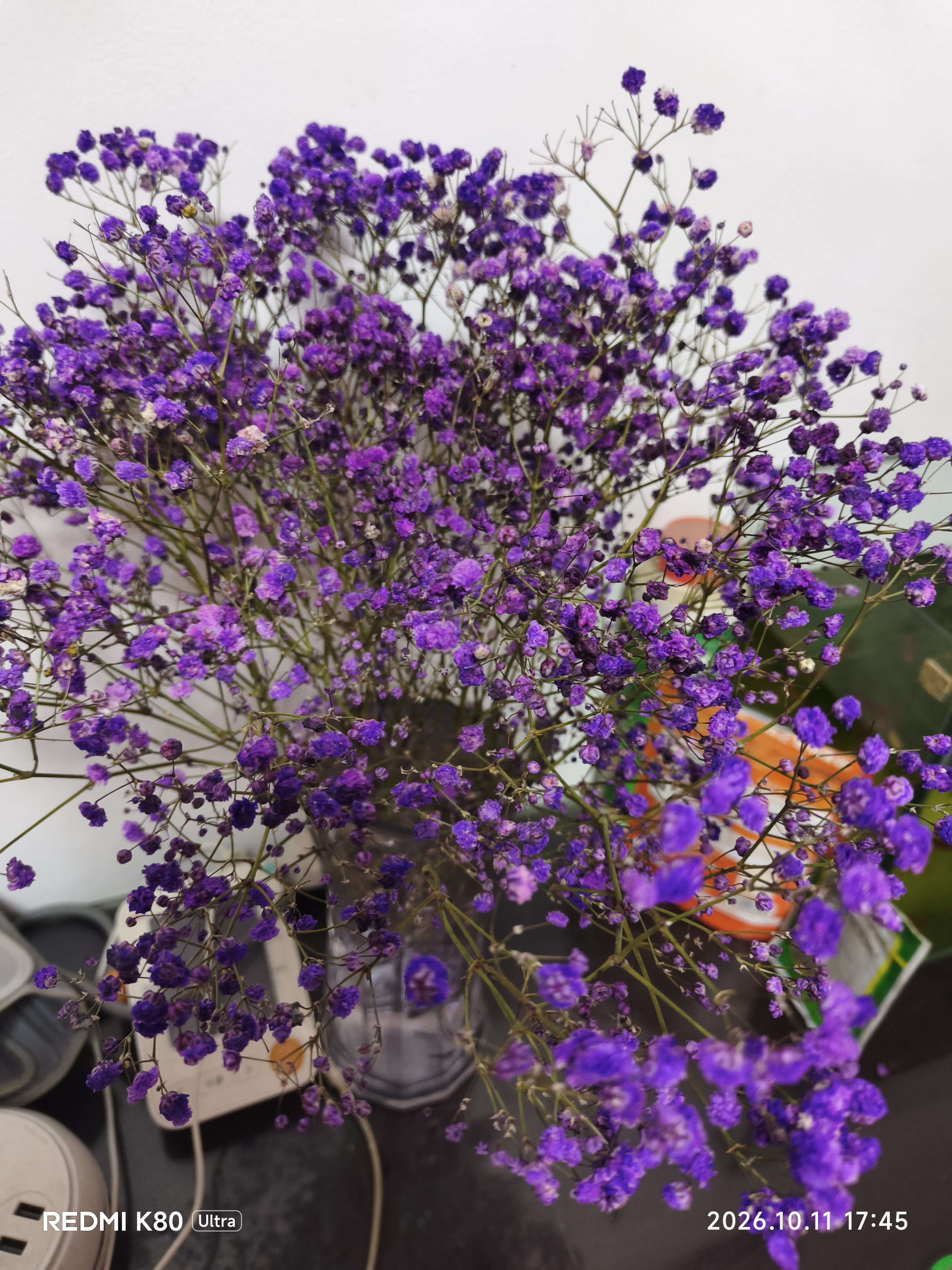 爱满（AIMAN） 鲜花真花天然满天星花束真花客厅家居装饰店面摆设小清新风花束 紫色满天星 含报纸+丝带 实拍图