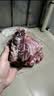 鲜京采惠选 巴西原切牛肋肉净重2斤 牛胸腹部位肋条肉 炖煮 实拍图