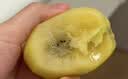 佳沛（zespri）新西兰金奇异果4粒103-114g猕猴桃源头直发水果礼盒 实拍图