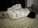 Fan Beauty Diary油敷面膜15片【3盒装】水油膜补水滋养 生日礼物送女生 实拍图