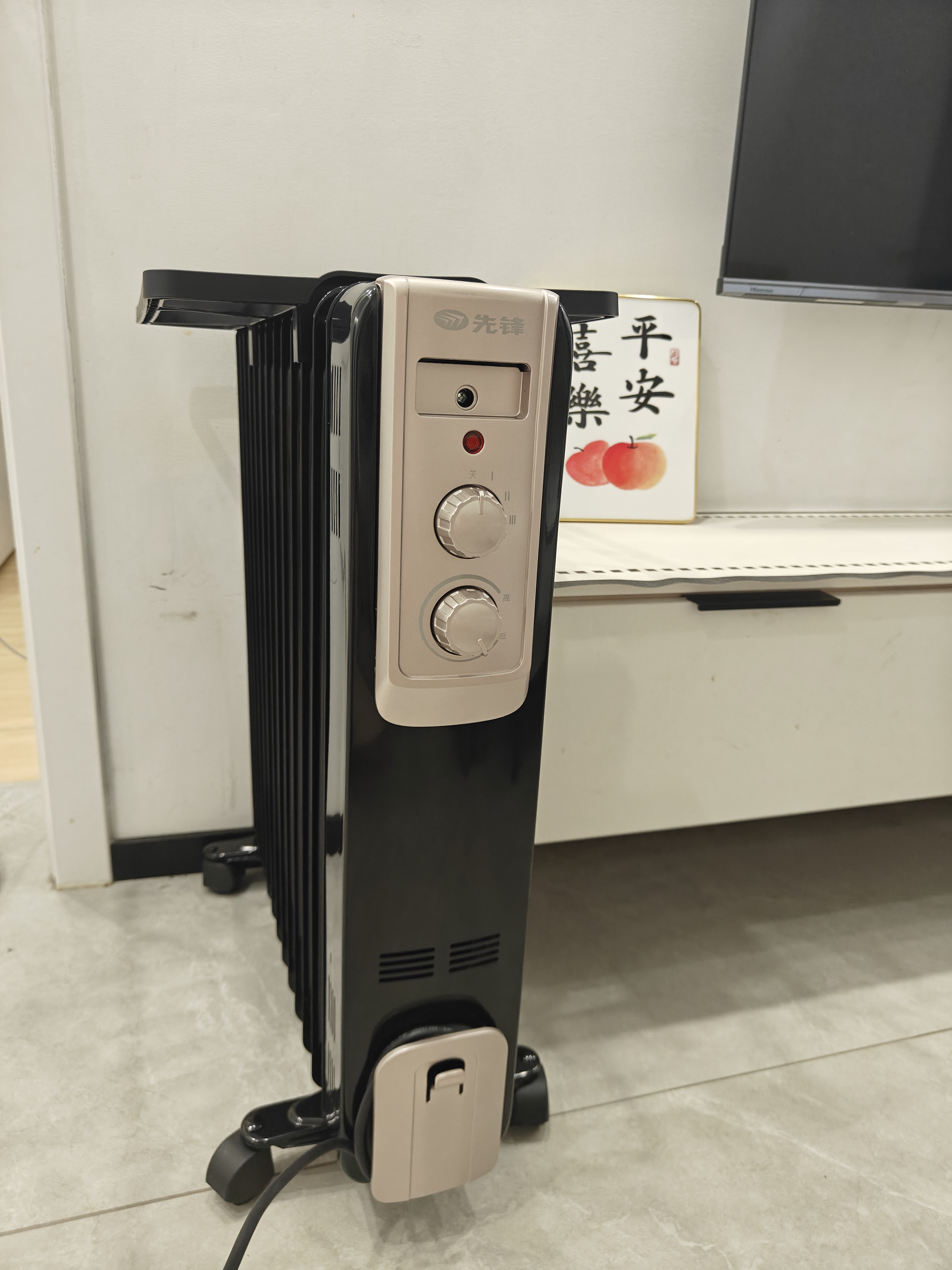 先锋石墨烯取暖器电暖器电暖气片家用电热油汀13片全屋升温智能恒温低噪节能烘衣加湿DYT-Z2 实拍图