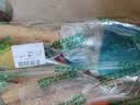 保联不锈钢园艺铲铁锹工具家用小铲子耙子松土锄头种菜种花赶海套装 实拍图