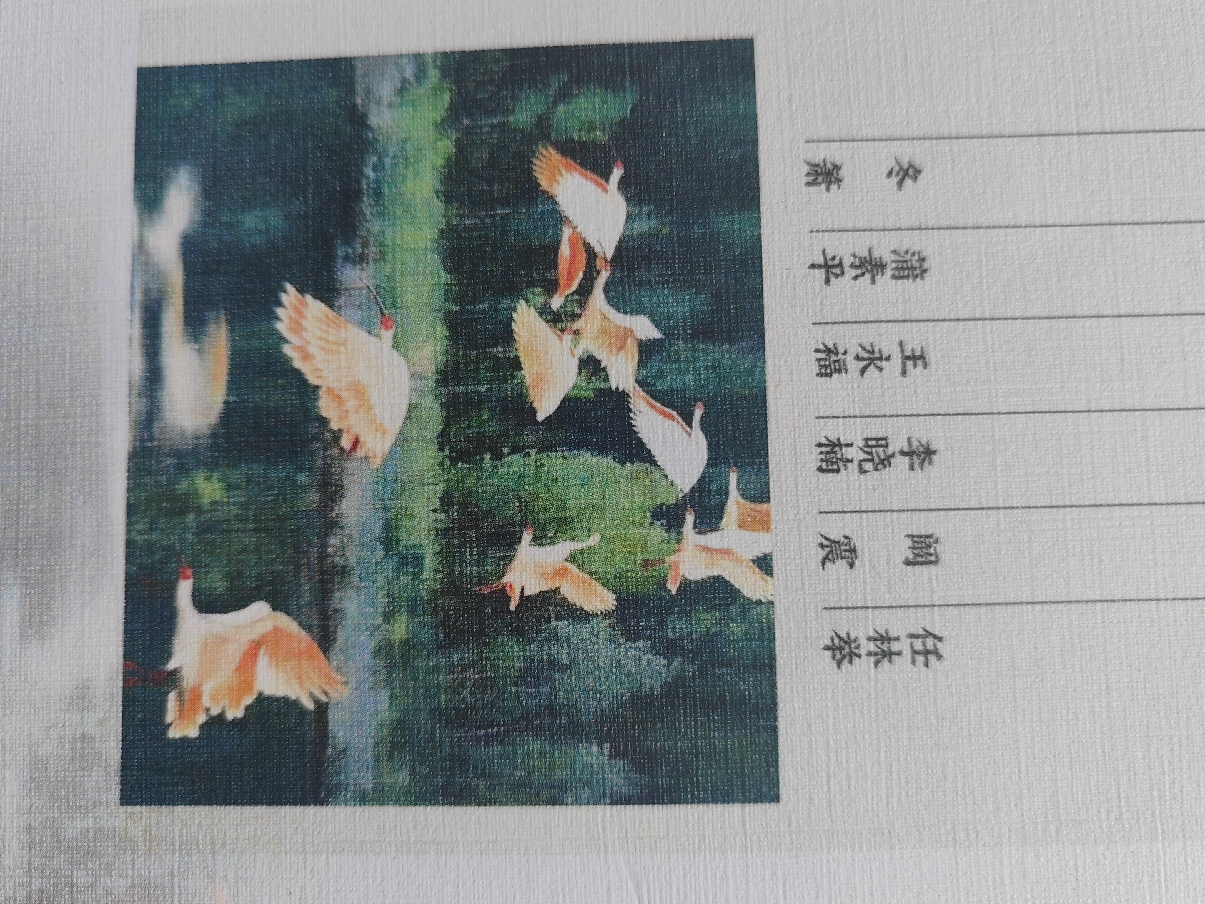 送好礼 博物杂志 青少年科普百科知识全书儿童科普大百科期刊中小学生通识教育课外阅读自然知识中国国家地理青春版掌上博物馆杂志铺2026年/2025半年/全年订阅/典藏/增刊博物君张辰亮正版 【12个月订 实拍图