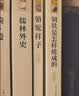 骆驼祥子+钢铁是怎样炼成的（升级版） 人教版名著阅读课程化丛书 七年级下套装（共2册）与25春新版初中语文教材配套使用（含微课，从教学角度讲解名著；含阅读笔记本，提供测评指导帮助提升整本书阅读能力） 实拍图