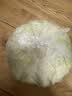 【水果菜】有机水果甘蓝500g 实拍图
