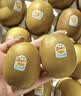 佳沛（zespri）新西兰金奇异果12粒特大果124-146g猕猴桃中秋节礼品送水果礼盒 实拍图