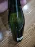 青岛啤酒（TsingTao）经典老青岛百年工艺大容量640ml*6瓶 整箱装 一厂生产 实拍图