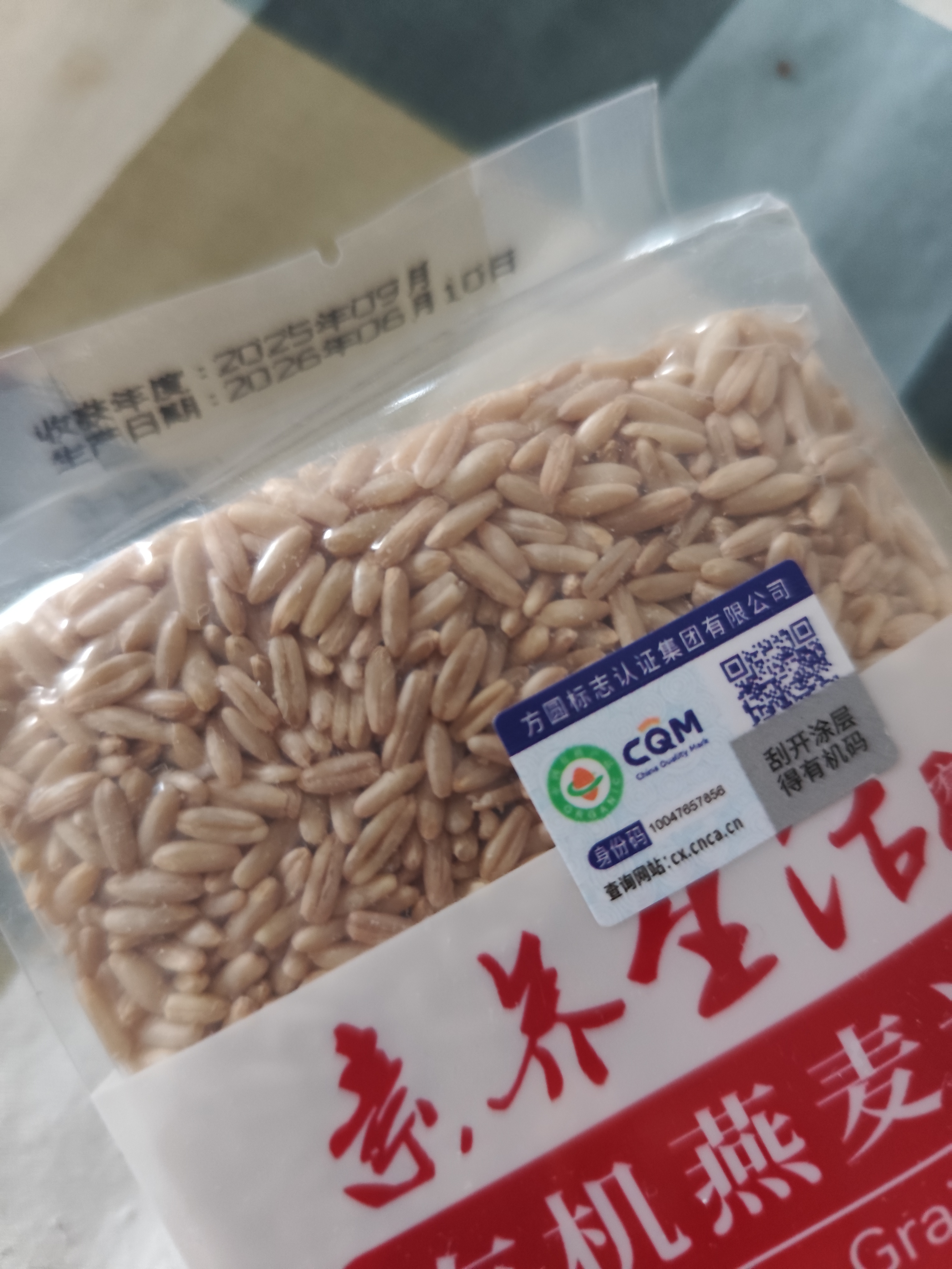 素养生活有机燕麦米1斤 燕麦仁 保留胚芽 燕麦米煮粥 五谷杂粮 粗粮 实拍图