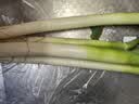 大葱约1kg 实拍图
