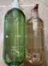 袋鼠妈妈洗发水去屑止痒控油持久留香洗发露舒缓洗发水500ml+沐浴露500ml 实拍图