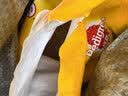 宝路狗粮全犬种通用全价粮成犬狗粮中小型犬牛肉味7.5kg【原料透明】 实拍图
