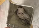 金泰康儿童泡脚药包40g*30包 鼻塞鼻炎流涕泡澡药浴艾草宝宝足浴 实拍图