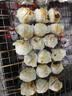 四海鱼蛋供港品质墨鱼味鱼丸一斤装500g火锅食材空气炸锅烧烤露营 实拍图