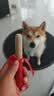 疯狂小狗 宠物狗狗零食火腿肠幼犬成犬训练奖励 混合香肠900g（低淀粉） 实拍图