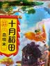 十月稻田 血糯米 2斤 黑糯米 杂粮米 甜品伴侣 包粽子 实拍图