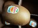 佳沛（zespri）新西兰金奇异果8粒特大果124-146g猕猴桃中秋节礼品送水果礼盒 实拍图
