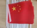 易利丰（elifo）送36贴纸 中国国庆小国旗手持小红旗手摇旗杆8号50面带杆14*21cm小五星红旗帜小旗子装饰儿童手拿 实拍图