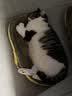 麦富迪猫粮 冻干鲜粮高蛋白成幼猫粮美毛亮毛 三文鱼鸡肉5.4kg 实拍图