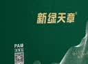 天章 （TANGO）新绿天章 (商务款)A4 80g 500张/包 5包/箱 （2500张） 复印纸 (计价单位：箱) 白色 实拍图