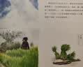 九神鹿绘本馆系列 ：盘中餐    暑期阅读 课外推荐   省钱卡 实拍图