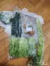 罗马生菜约500g 实拍图