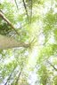 松下【24期免息】S5M2（20-60mm F3.5-5.6）（Panasonic）S5二代 全画幅微单相机 约2420万有效像素 实拍图