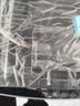 康佳波轮洗衣机全自动8公斤一级能效节能省电 小型家用国家补贴以旧换新宿舍租房京东自营KB80-FJ518H 实拍图