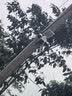 乔安（JOOAN）4g三摄太阳能摄像头AI室外终身免充值流量无电无网免插电远程监控器家用360度无死角带全景夜视 实拍图