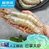 鲜京采 厄瓜多尔白虾 净重3斤/盒 特大号20-30规格   30-45只/盒 实拍图