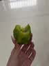 佳沛（zespri）新西兰金奇异果12粒特大果124-146g猕猴桃水果礼盒 实拍图