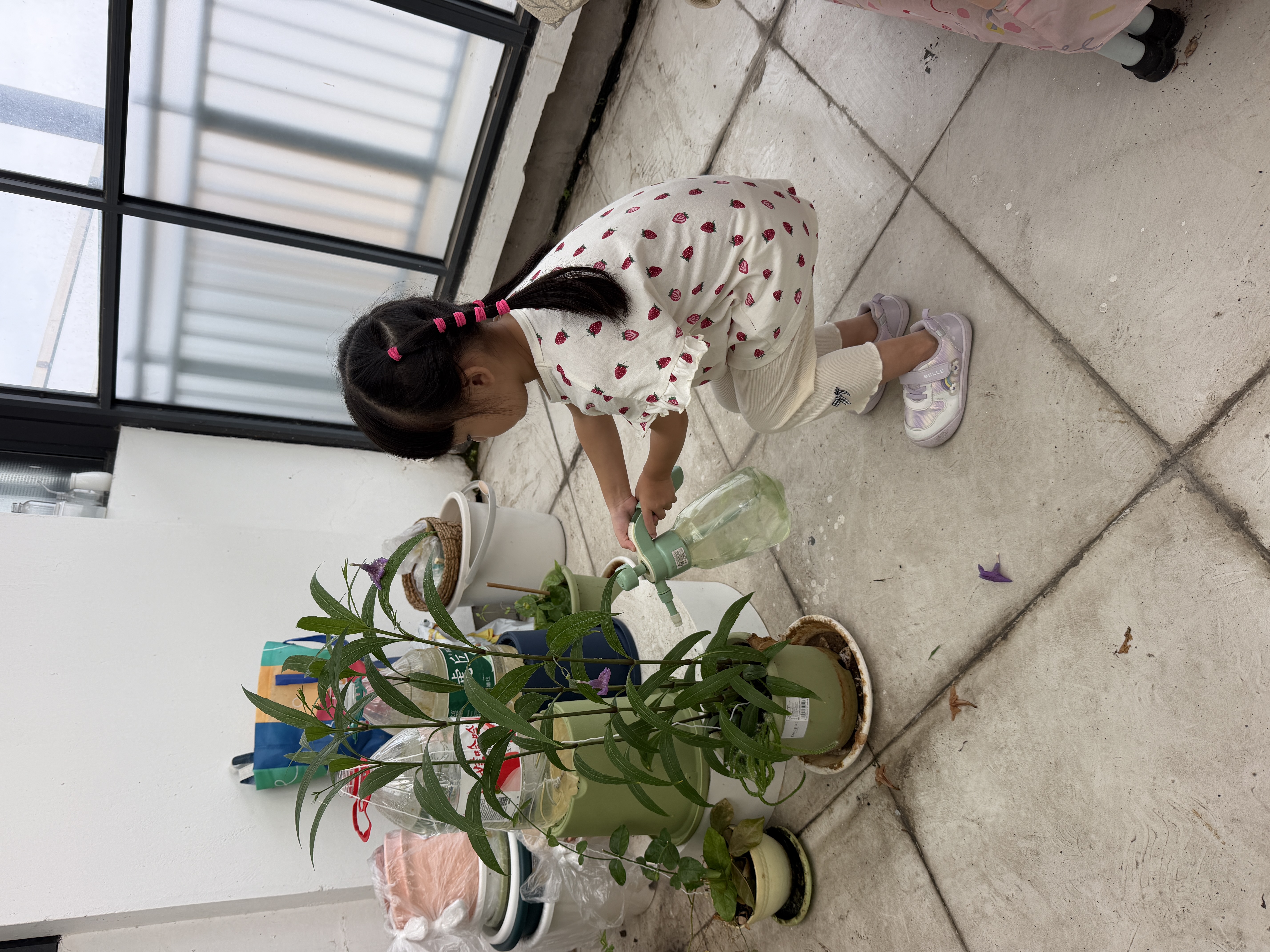 爱丽思花盆塑料圆形树脂多肉花盆种花种菜盆绿萝爱丽丝 白色口径20.3cm 实拍图
