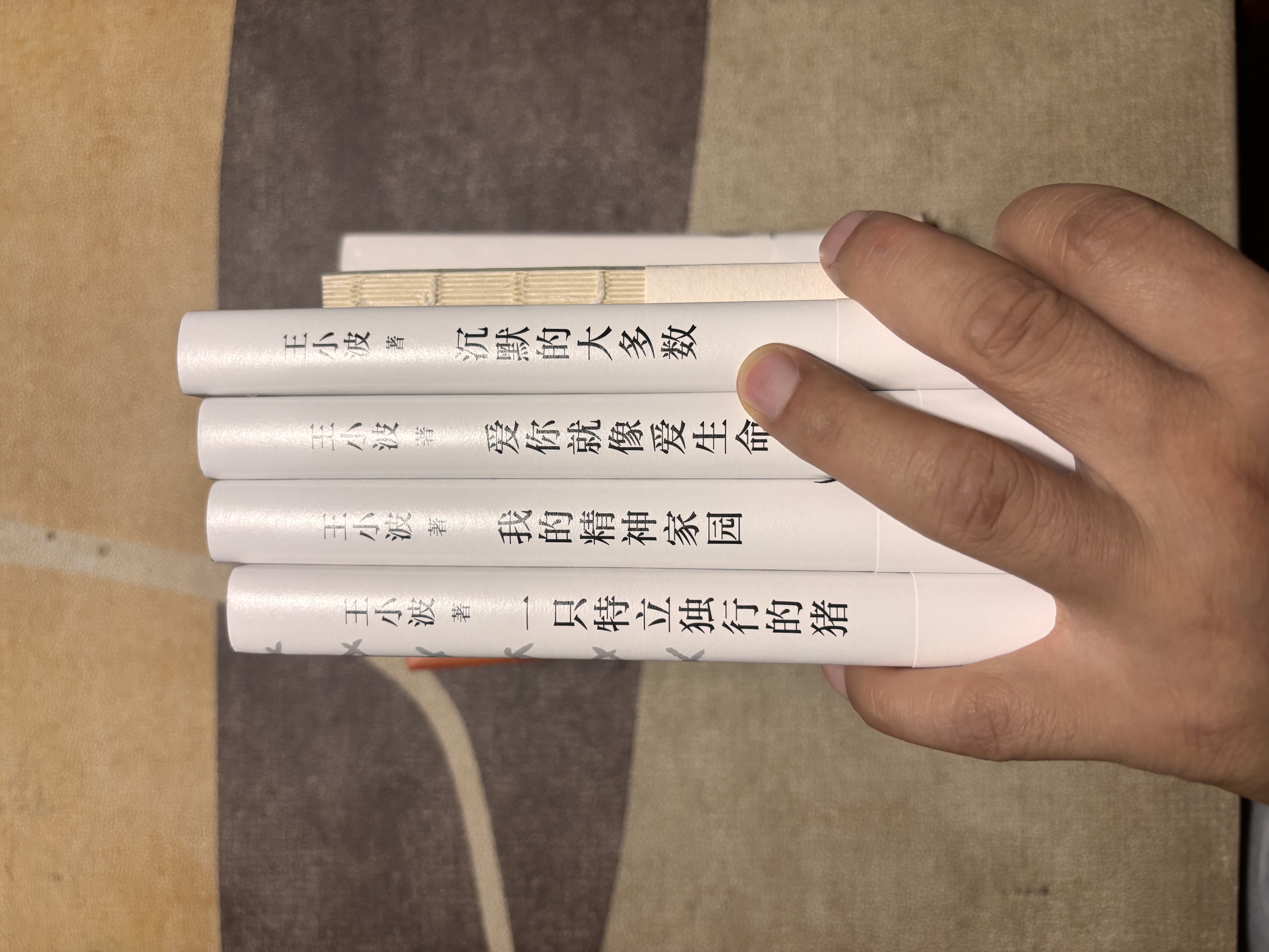 王小波杂文套装全四册  一只特立独行的猪+沉默的大多数+爱你就像爱生命+我的精神家园 实拍图