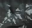佑游游泳裤男士防尴尬泡温泉游泳馆沙滩裤平角泳裤三件套24020黑色2XL 实拍图