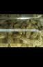 良品铺子新疆绿葡萄干520g新疆特产无核大颗粒免洗葡萄干健康休闲零食 实拍图