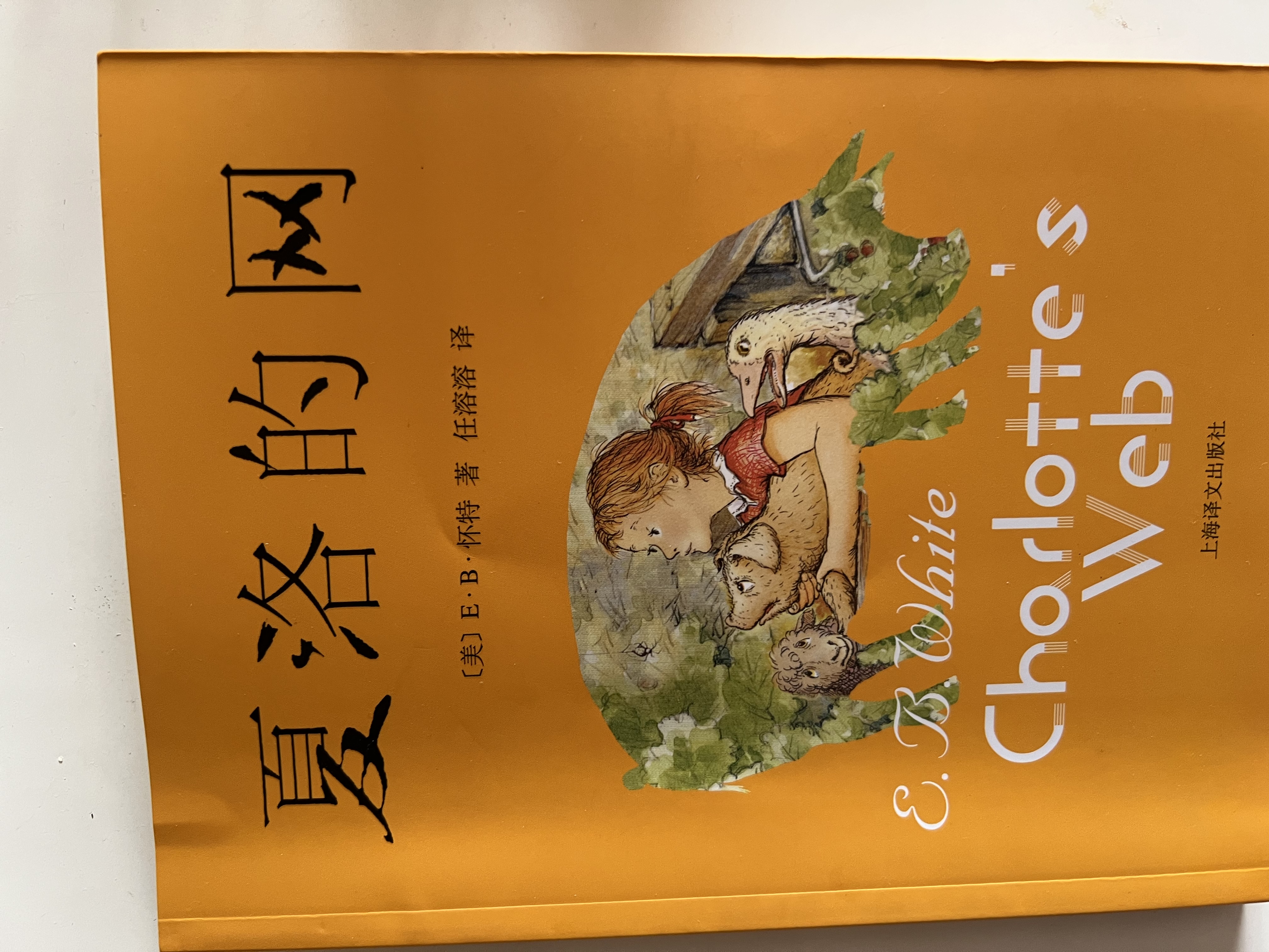 全4册 快乐读书吧四年级上册必读课外阅读书 中国古代神话 世界经典神话与传说故事 山海经 希腊神话故事 赠考点小册子  三升四暑假阅读书目万物复书四年级 开学季 实拍图
