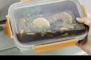 东菱（Donlim）不锈钢保鲜盒 食品级304锁鲜密封收纳饭盒冰箱分装可微波650ML 实拍图