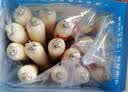 小鹿蓝蓝海洋无污染鳕鱼肠300g 减钠升级宝宝儿童零食益生元肉肠 出游送礼 实拍图