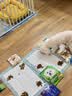 皇家狗粮 贵宾老年犬狗粮泰迪犬粮宠物小型犬PDA26全价犬粮 ≥8岁7KG 实拍图