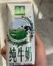 伊利【新鲜日期】金典纯牛奶200ml*24盒3.6g乳蛋白礼盒装 实拍图
