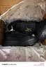 ARC'TERYX始祖鸟 KOPEC 2 LOW GTX 男子 徒步鞋 Black/Black/黑色/黑色 42 UK 8 晒单实拍图