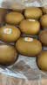 佳沛（zespri）新西兰金奇异果22粒巨大原箱146-175g猕猴桃水果礼盒 实拍图
