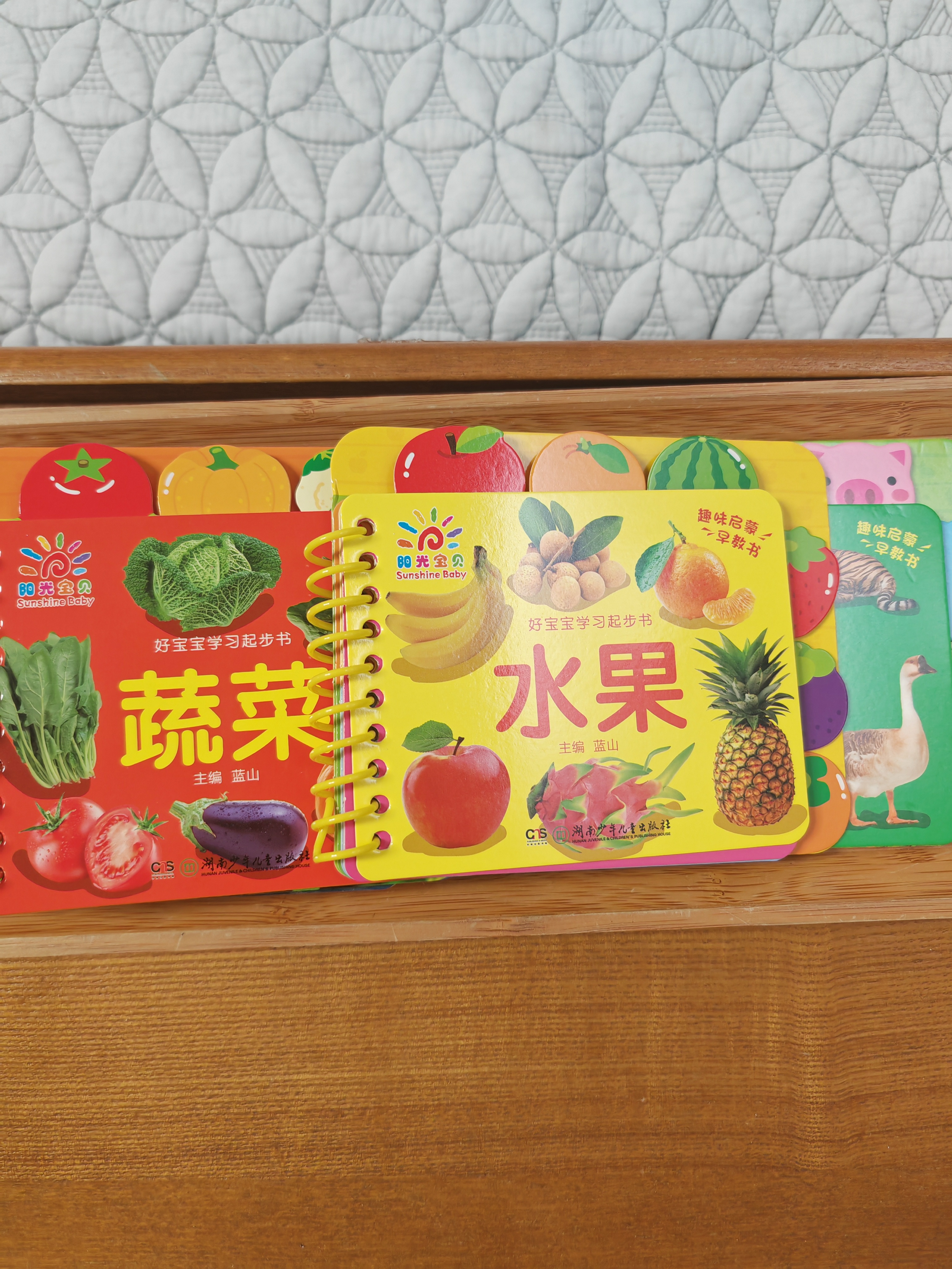 阳光宝贝 好宝宝学习起步书（套装全6册）幼儿启蒙认知早教撕不烂卡片书水果蔬菜颜色动物 暑假作业 一升二暑假衔接 小升初暑假衔接  实拍图
