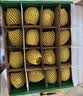 佳沛（zespri）新西兰金奇异果16粒经典果88-103g猕猴桃水果礼盒 实拍图