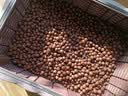 绿盼 陶粒球垫底5L花用园艺水培花盆养花专用颗粒小轻质多肉种铺面石 实拍图
